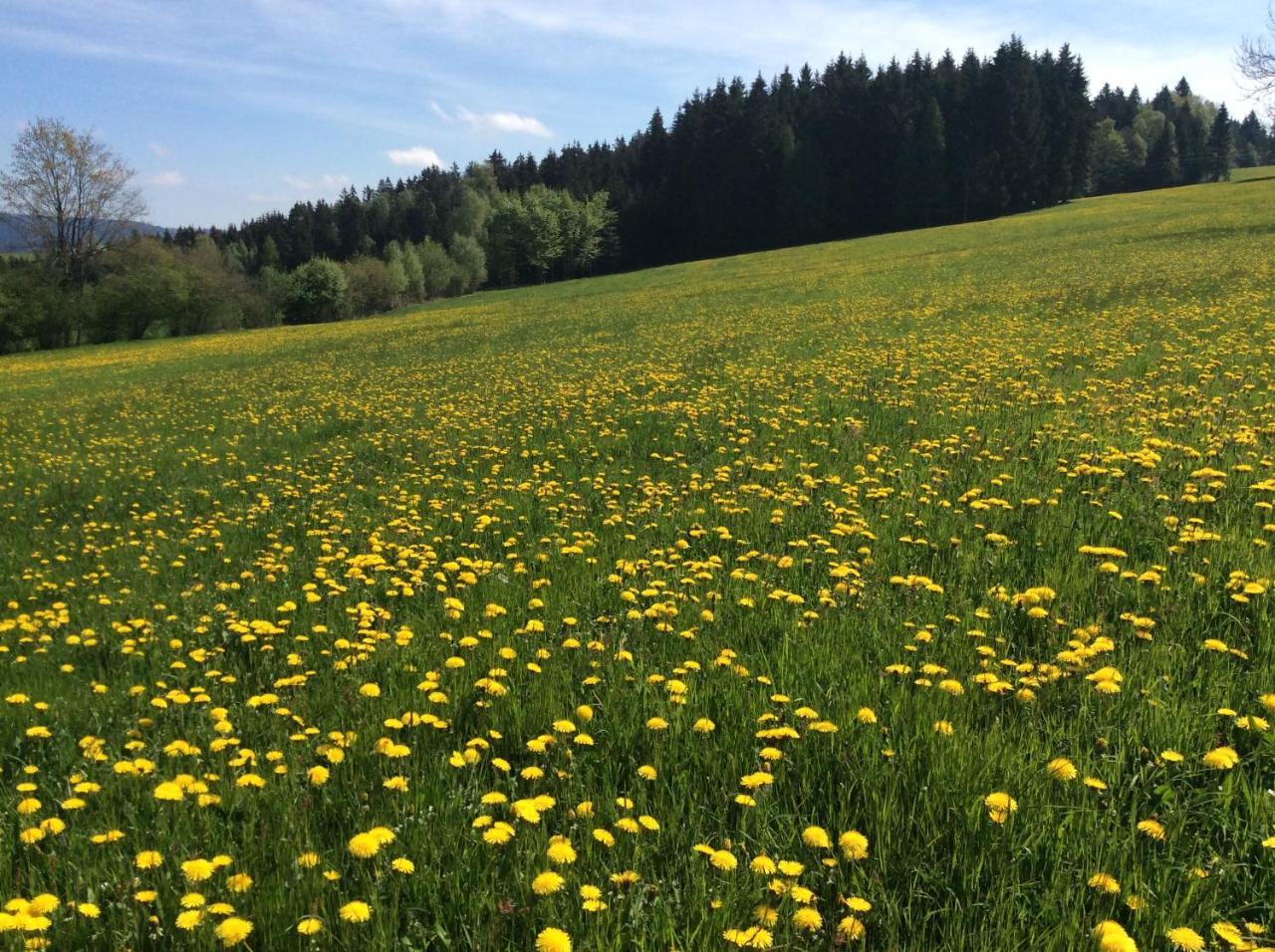 Вілла Ferienbauernhof Koller Helfenberg Екстер'єр фото